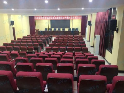 SVS为某校打造综合会议项目